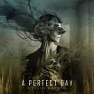 A Perfect Day - With Eyes Wide Open