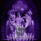 Fading Bliss - From Illusion To Despair