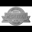 Meshuggah - Crest