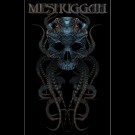 Meshuggah - Meskulla