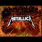 Metallica - Shaped Logo
