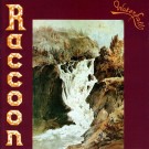 Raccoon - Waterfall