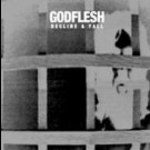 Godflesh - Decline & Fall