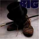 Mr. Big - Same