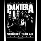 Pantera - Stronger Than All