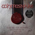 Whitesnake - Slip Of The Tongue