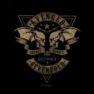 Avenged Sevenfold - Orange County
