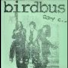Birdbus - Grey E.p