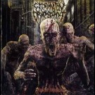 Extermination Dismemberment - Butcher Basement
