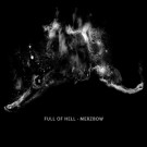 Full Of Hell - Full Of Hell & Merzbow
