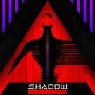 Shadow Domain - Digital Divide
